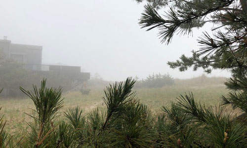 Fire-Island Weather-Foggy-Day